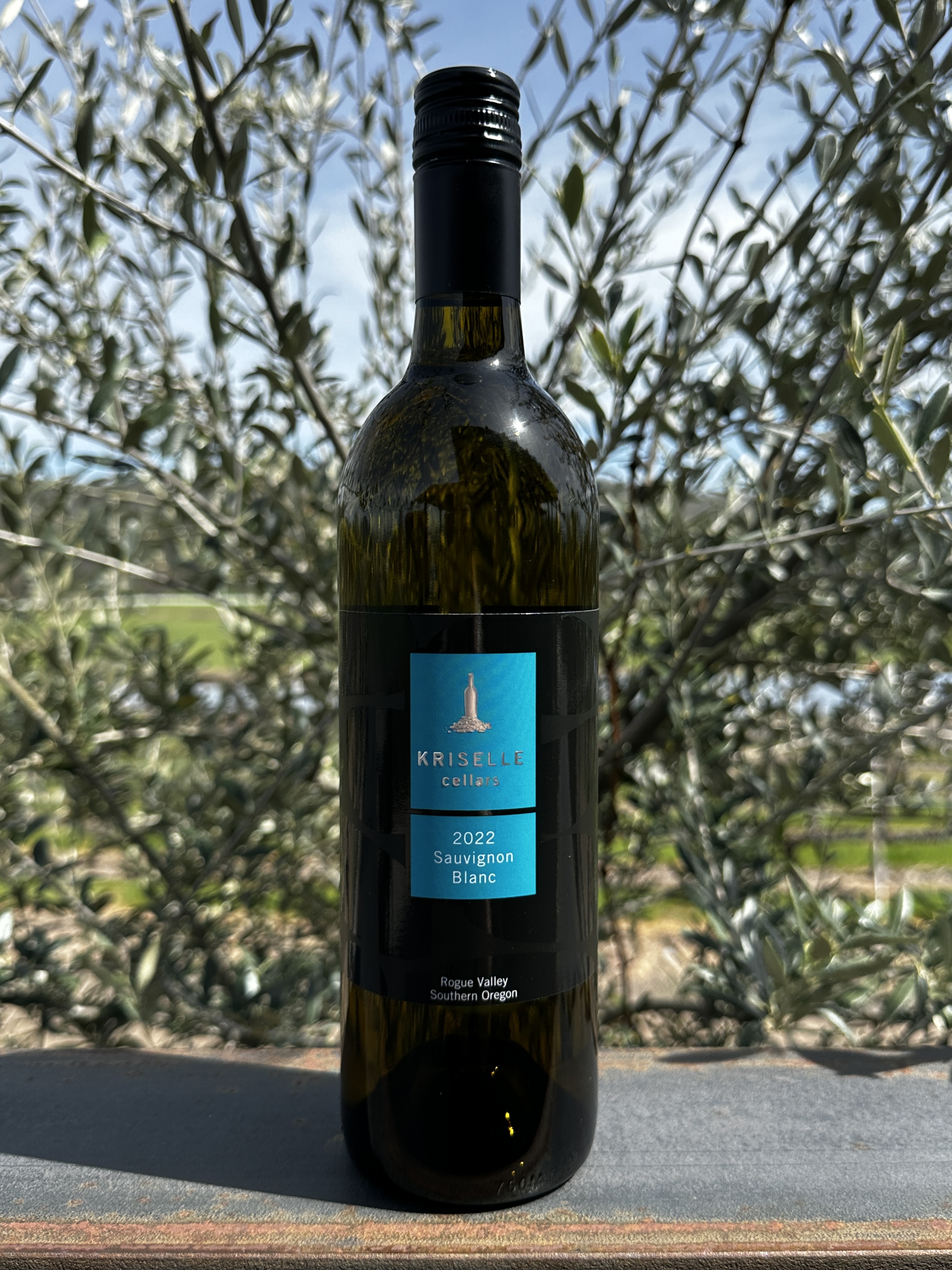 Product Image for 2022 Sauvignon Blanc 